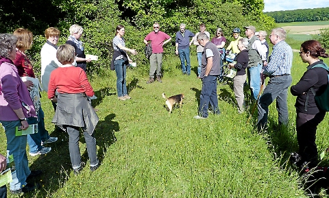 Kerstin Bär (Mi.) vom LIFE-Projekt Wetterauer Hutungen informiert über Hutungen in Niederkleen.